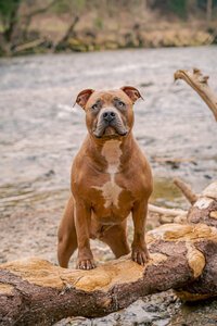 jairo_thoma_photography-24