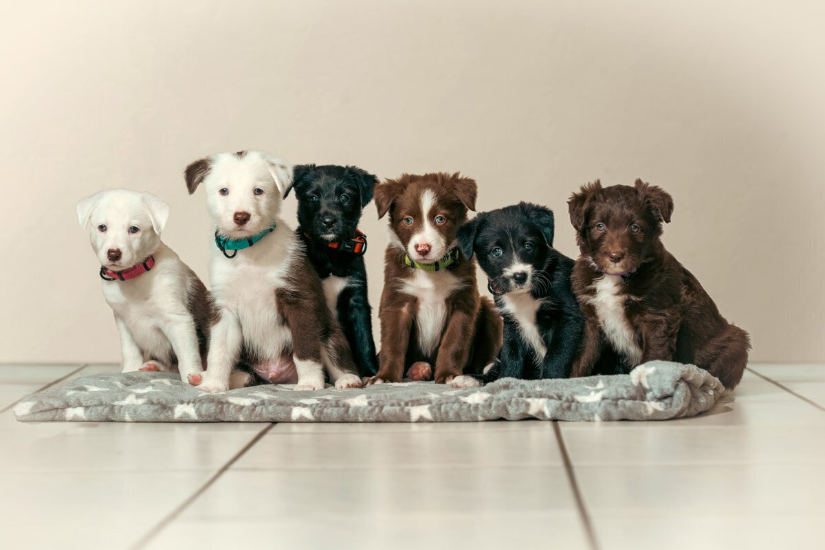 jairo_thoma_photography-53