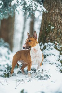 jairo_thoma_photography-60