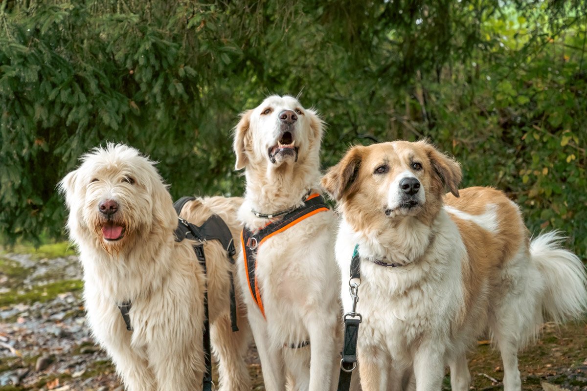 jairo_thoma_photography-66